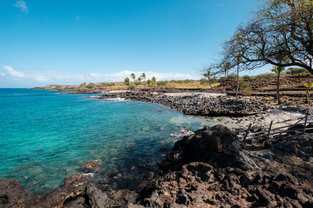 Him2005 Ay Hawaii Island 8118