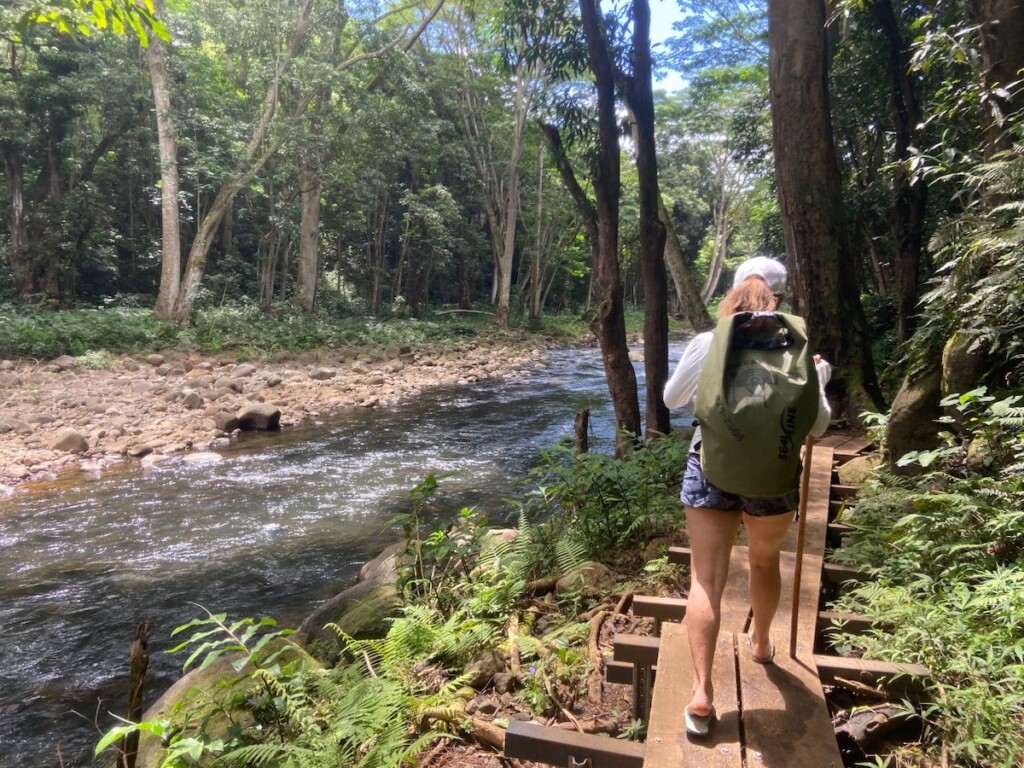 20230330 Kauaikids Secret Falls Hike Ctf Img 7934