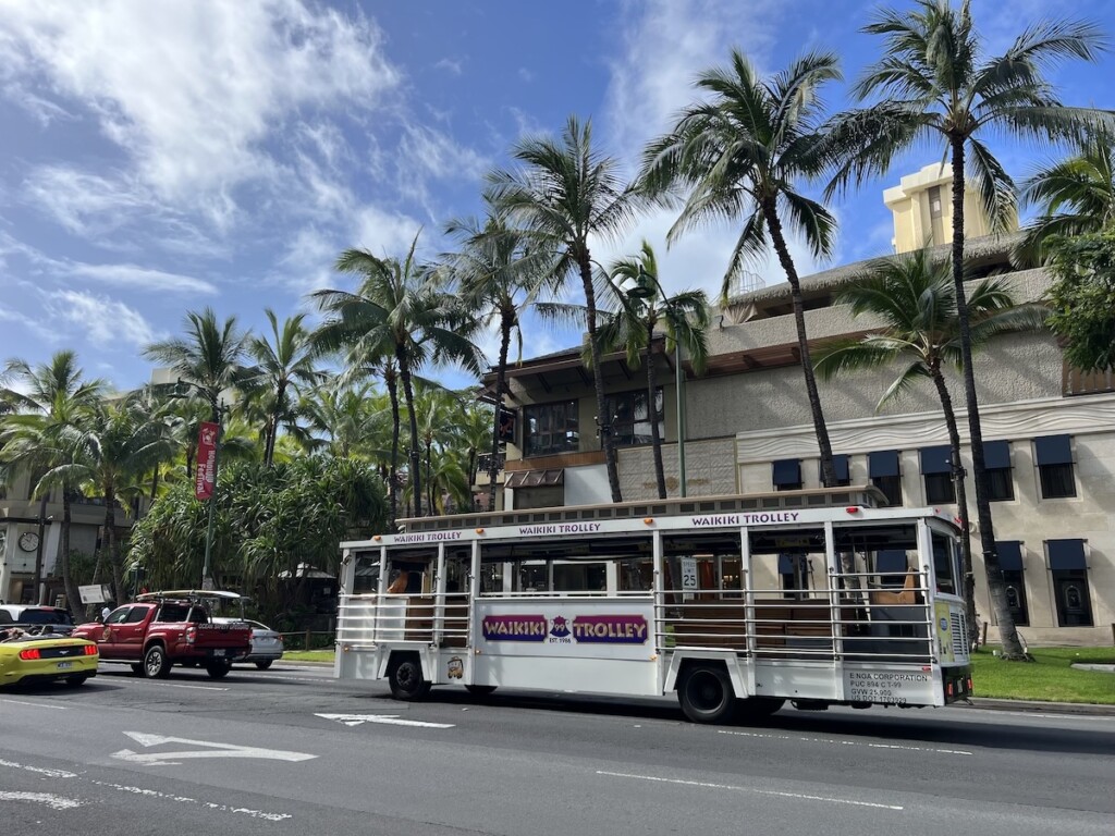 20220309 Waikiki Ctf Trolley Img 2376