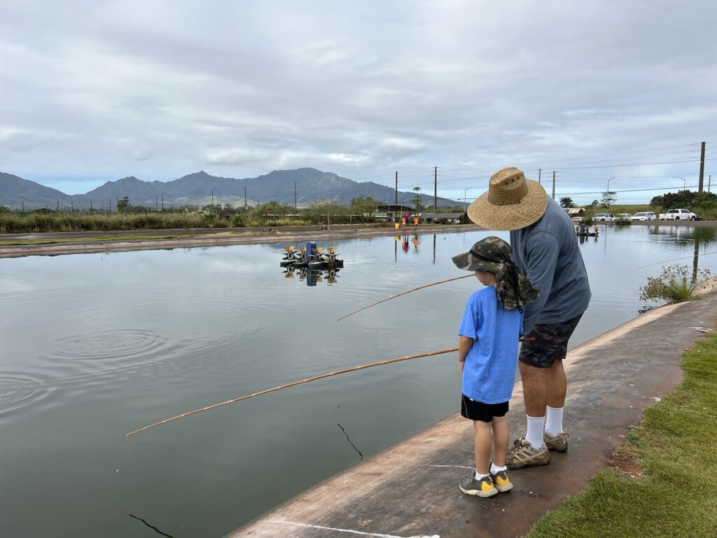 20230316 Waikiki Daytrip Wahiawa Ctf Img 9254