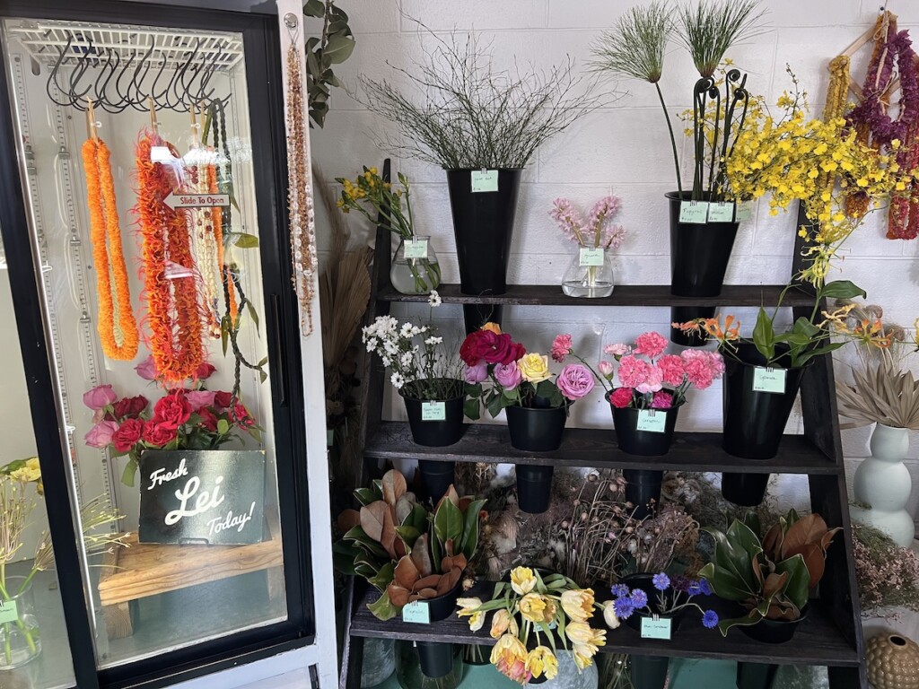 20230406 Kaimuki Guide Pua Hana Img 4227