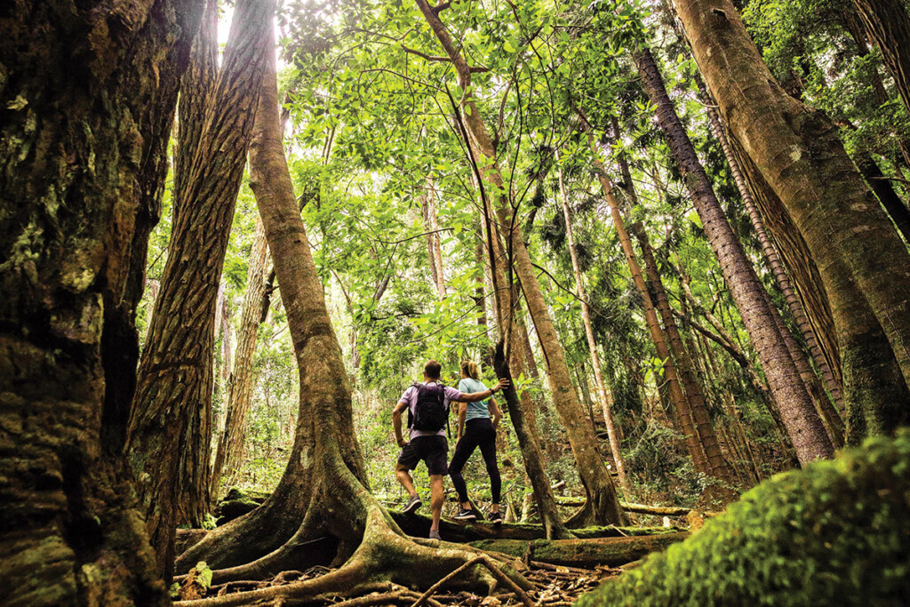17 Rca Lanai Koloiki Ridge Trail Hta