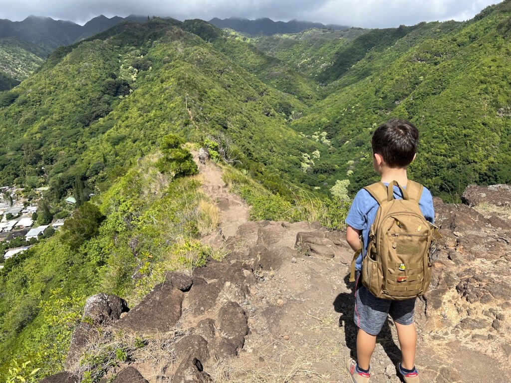 20230406 Kaimuki Guide Lanipo Img 1614