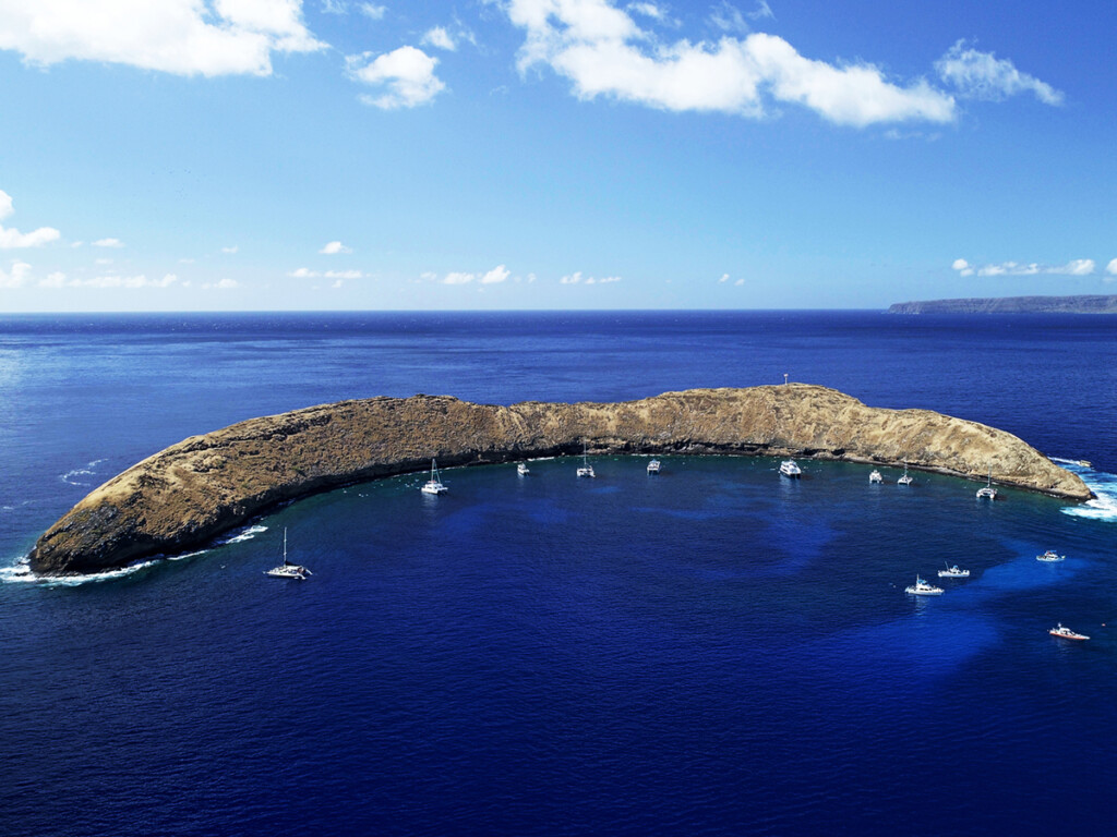 Dcim100mediadji 0003.jpg