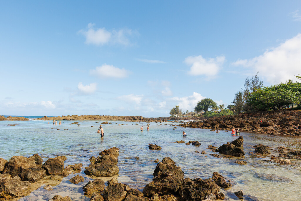 Him2303 Ay N Shore Bowls 3572