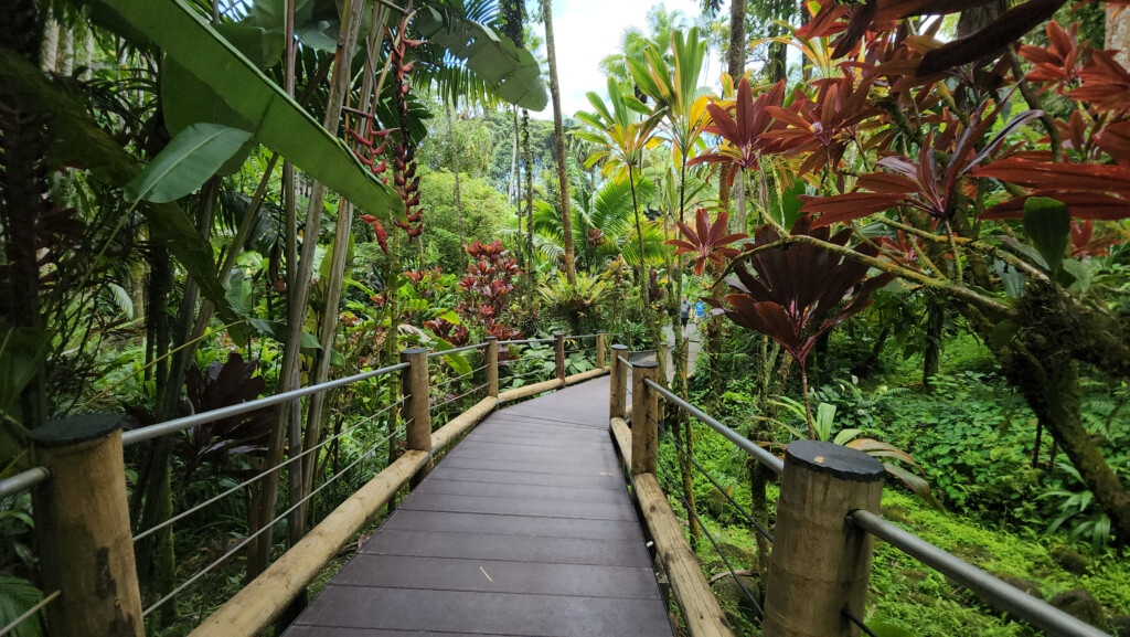 Hawaii Tropical Bioreserve & Garden