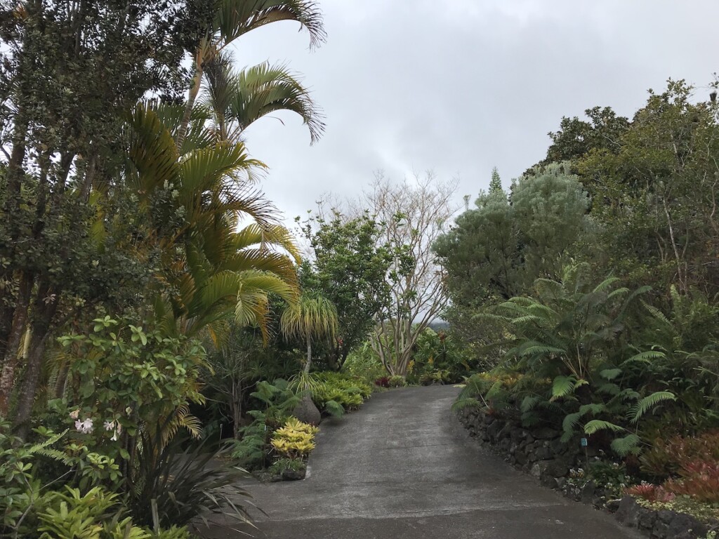 20230622 Picnics Ctf Kula Botanical Garden Img 7514