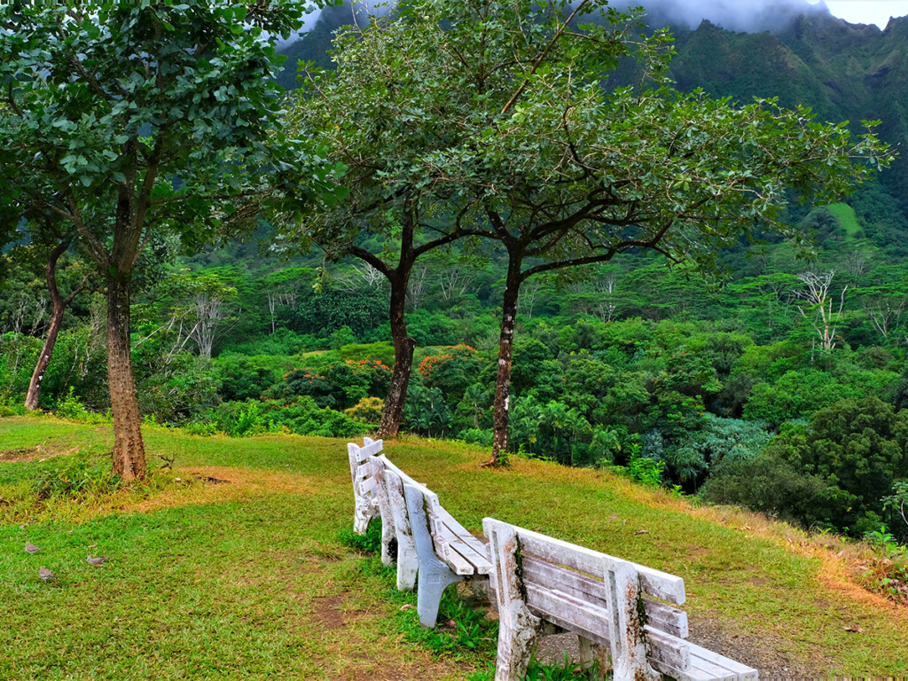 Ho'omaluhia Botanical Park, Kaneohe, Oahu, Hi