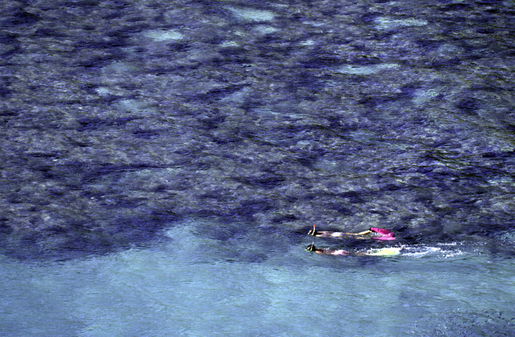 Usa Hawaii O'ahu, Hanauma Bay, Coral Reef.