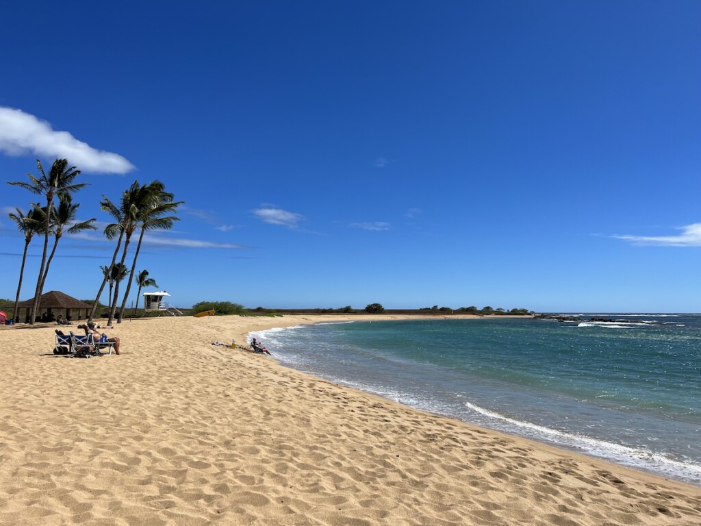 20230622 Picnics Ctf Salt Pond Beach Img 2100