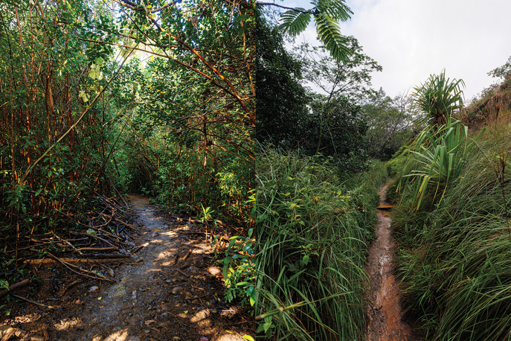 06 Okolehao Trail Ay