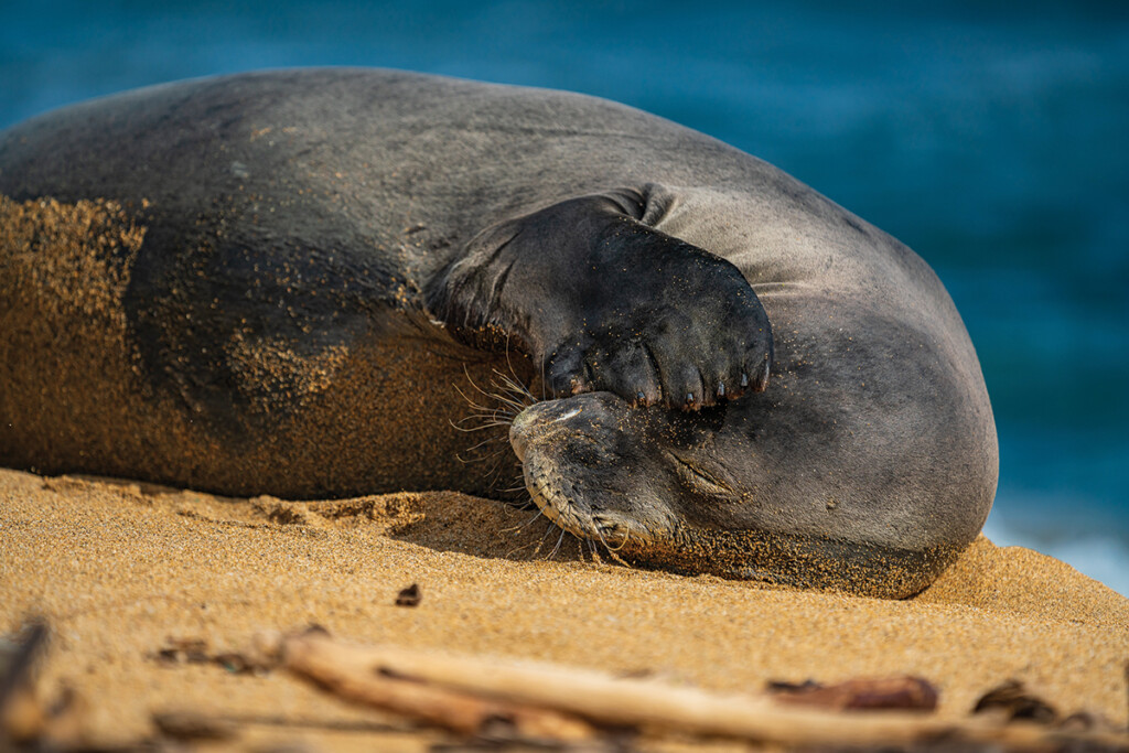 Second Place 1877 Brad Styron2