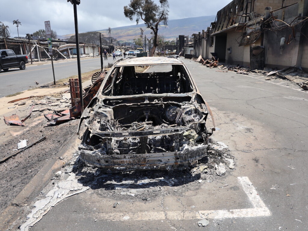 53108156401 63241c5a1d K