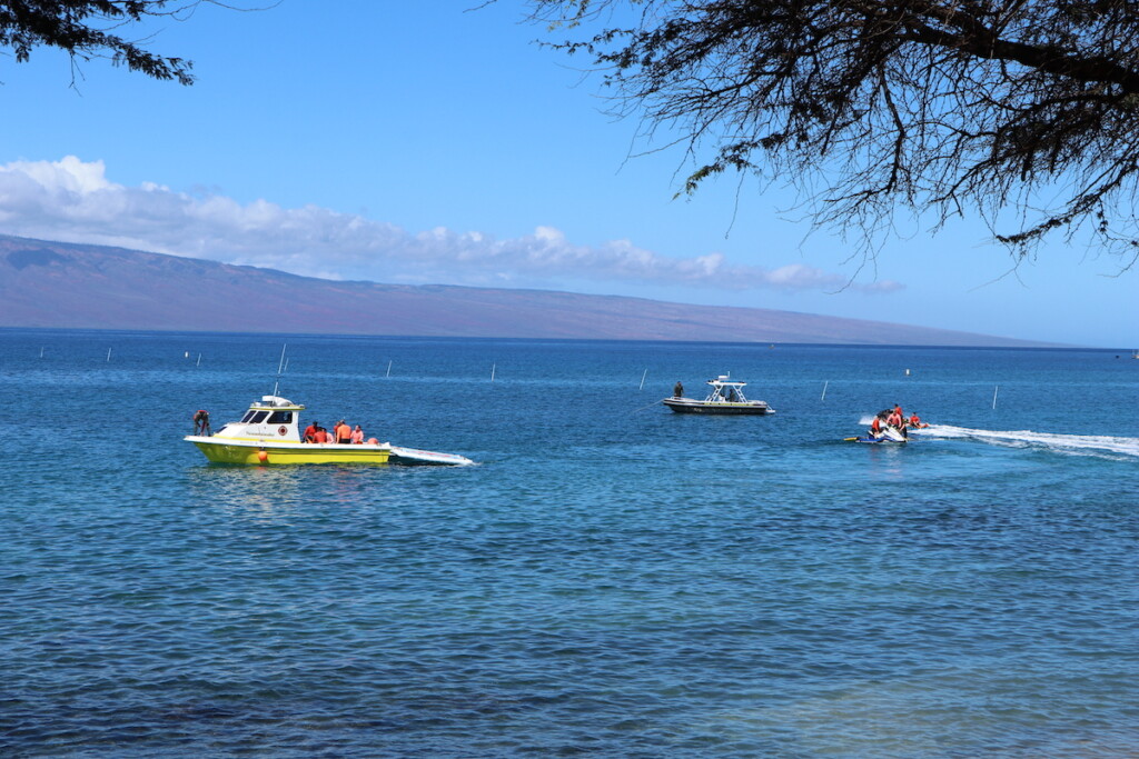 20230824 Maui Fires Search Dlnr Img 2499