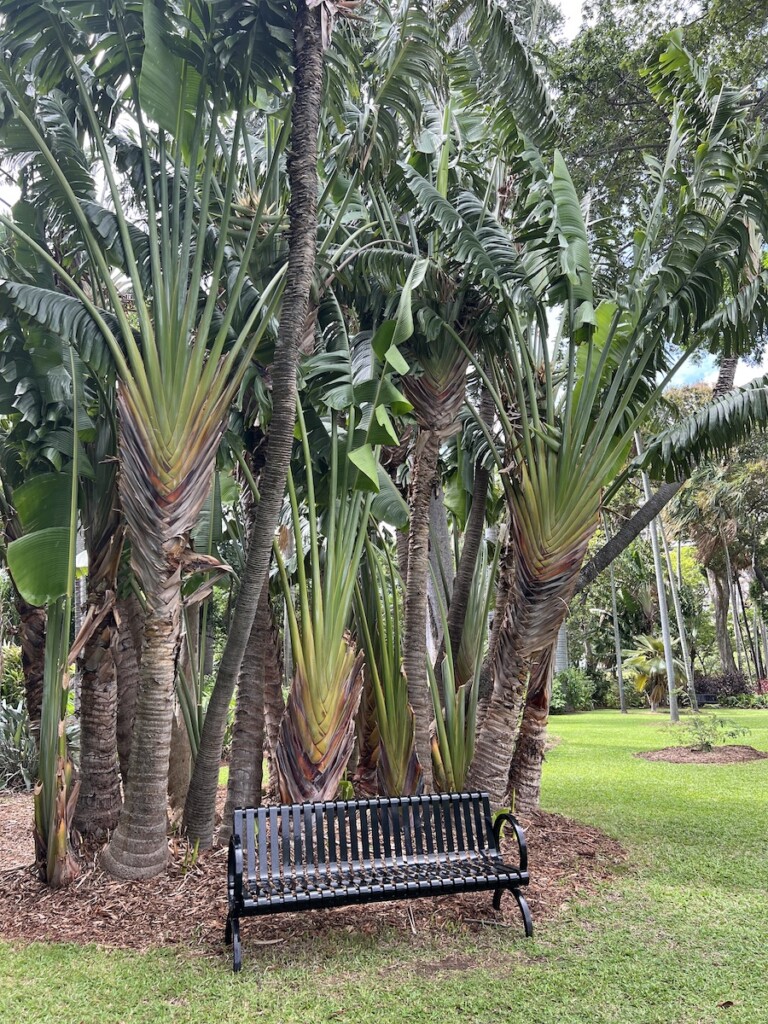 20230928 Foster Garden Travelers Ctf