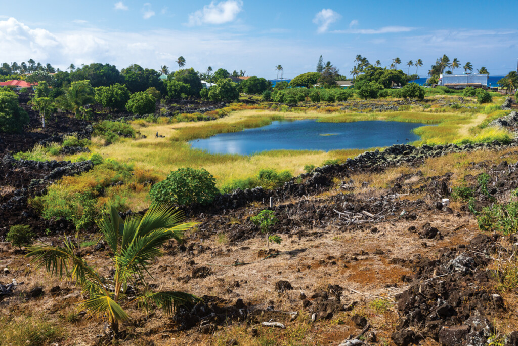 Complex Laceandersen2