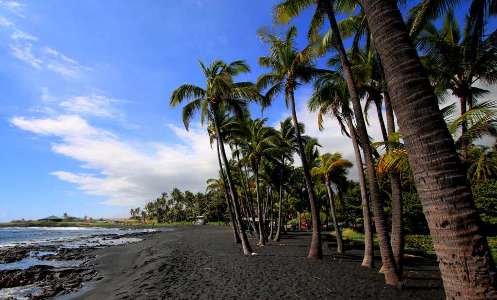Punalu'u Beach View