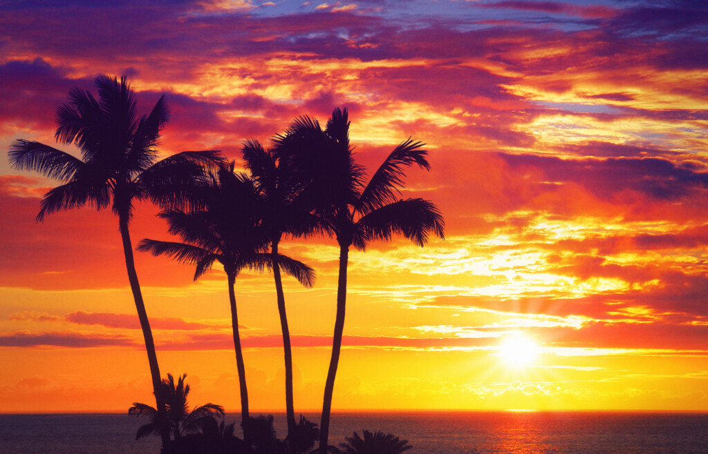 Hawaiian Sunset