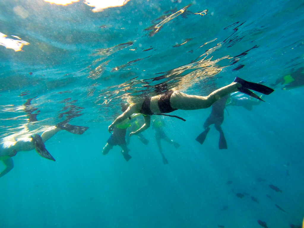 Holoholo Davidcroxford2