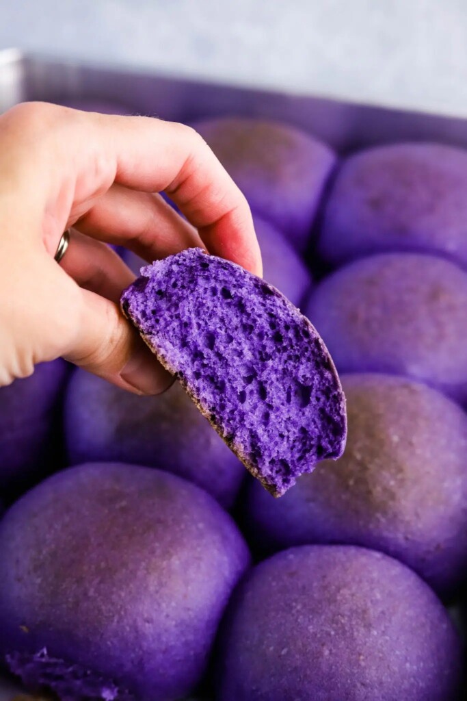 Ezgifcom Webp To Jpg