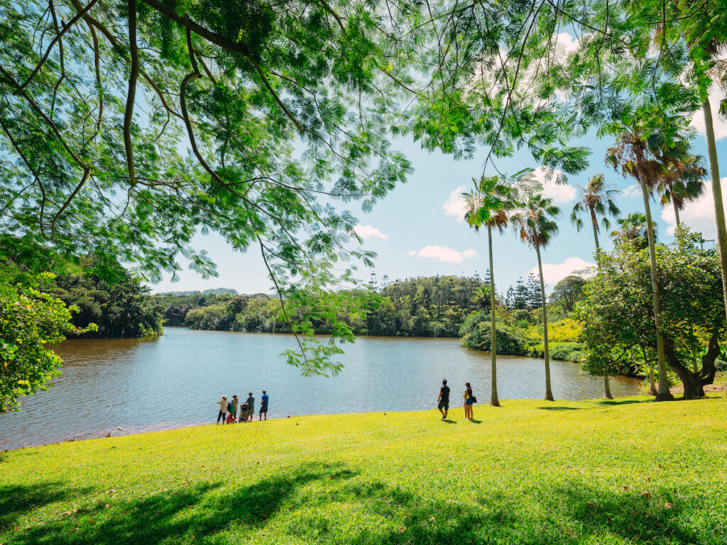 20231109 Oahu Photos Ctf Him2008 Ay Hoomaluhia Botanical Garden 7217