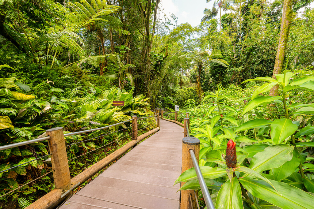 08 Tropical Bioreserve Aaron K Yoshino