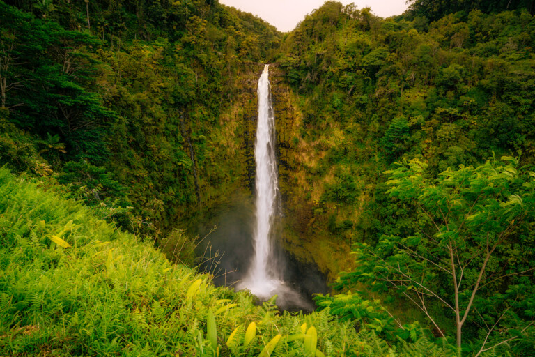 Akaka Falls #1