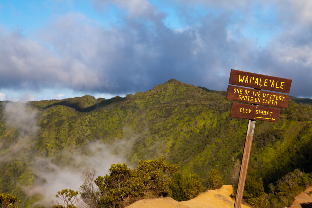 Waialeale Waimea Canyon