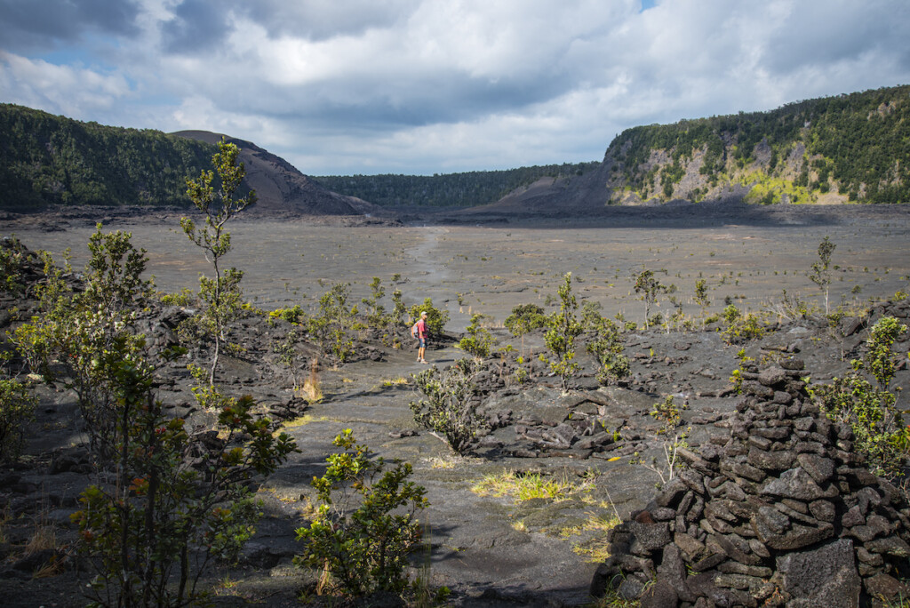 Hiker On Kilauea Iki Trail In Hawaii Volcanoes National Park On The Big Island Of Hawaii.