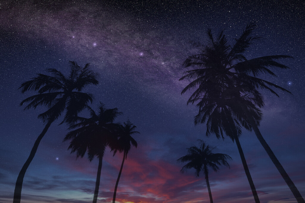 Night Sky On A Tropical Island With Stars And Constellations