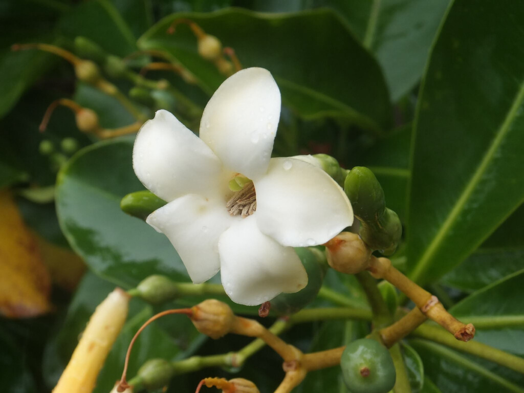 Submission Portfolio