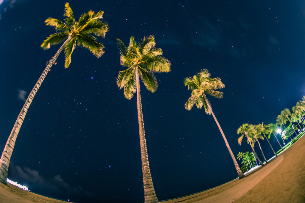 Starry Night In Honolulu