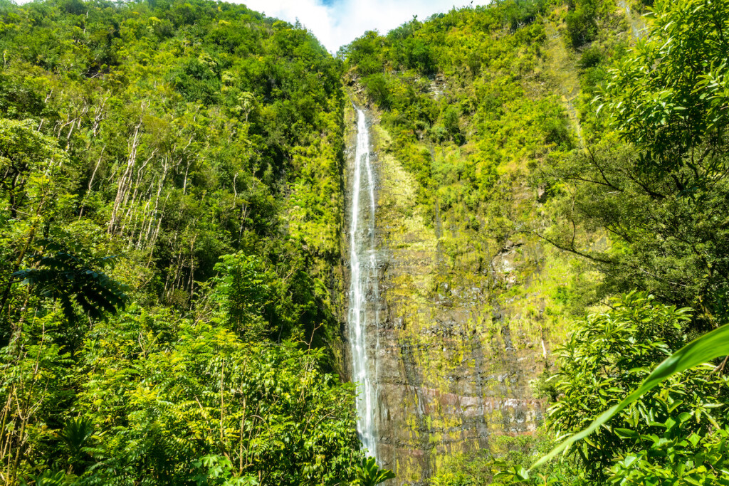 The Stunning Waimoku Falls At The End Of The Pipiwai Trail, K√Ñ¬´pahulu District, Haleakala National Park, Maui, Hawaii, Usa