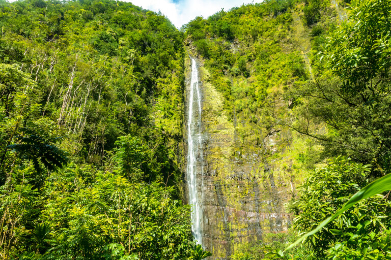 The Stunning Waimoku Falls At The End Of The Pipiwai Trail, K√Ñ¬´pahulu District, Haleakala National Park, Maui, Hawaii, Usa