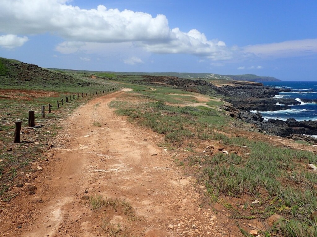 20240530 National Trails Day Momilani Ctf P9110113 960x720