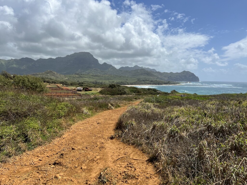 20240530 National Trails Day Mahaulepu Ctf Img 3886