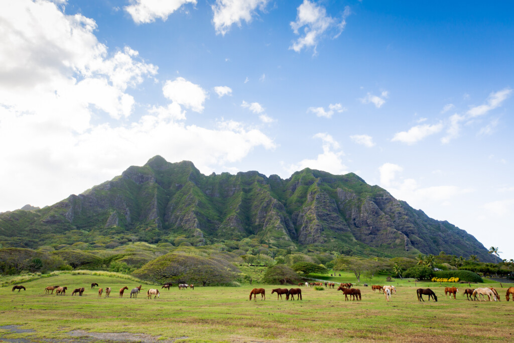 Kualoa Ranch