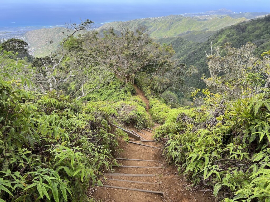20240530 National Trails Day Kuliouou Ctf Img 3016