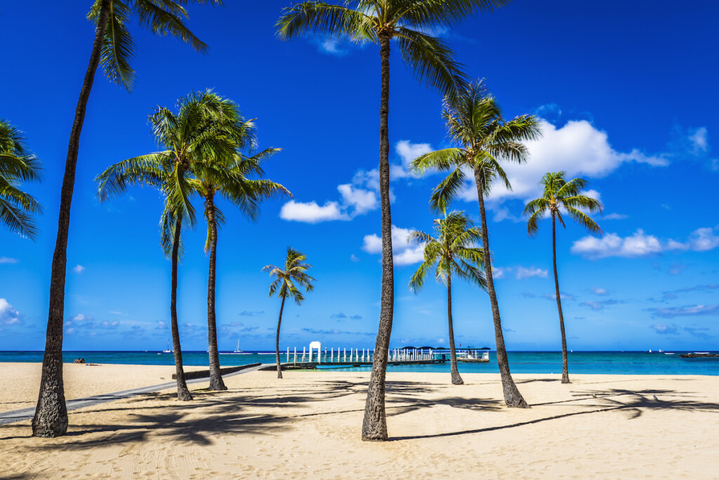 Fort Derussy Beach Park In Waikiki, Honolulu