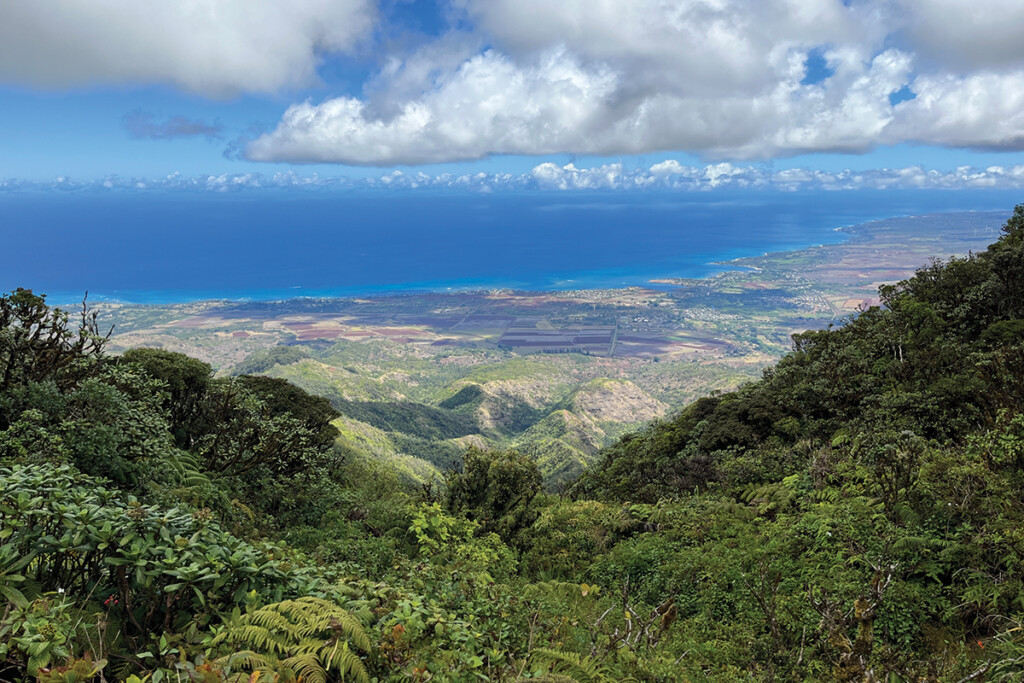 04 Mt Kaala Noah Lang