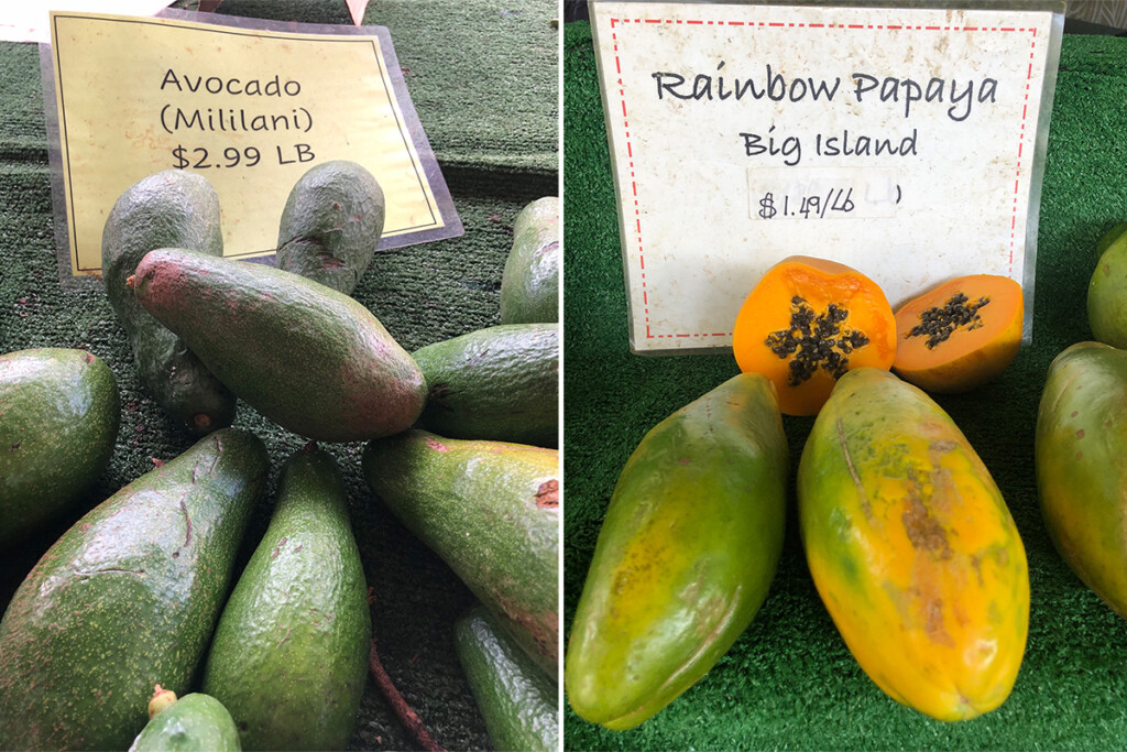 20240801 Kailua Farmers Market Jessica Hamilton