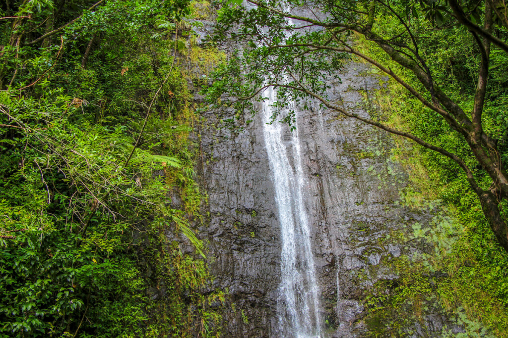 Manoa Falls Waterfall