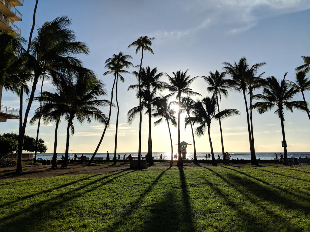 Sunset Dropping Behind The Ocean Through Coconut Trees On Kaimana Beach
