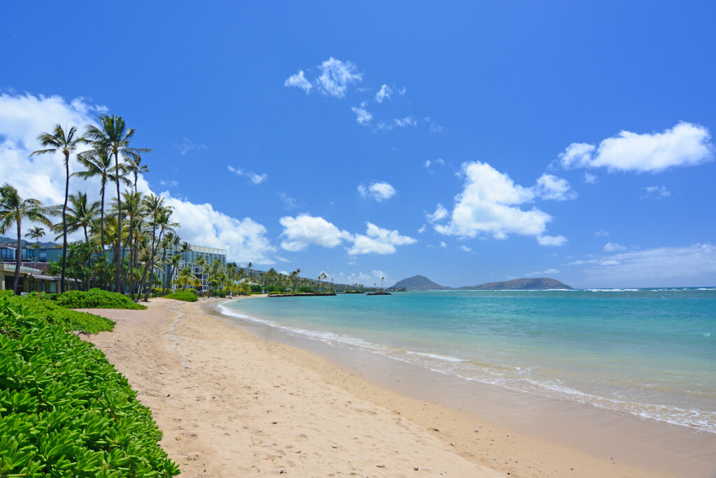 Palm Trees On An Empty Sandy Beach Along The Quiet And Uncrowded Kahala Beach Area In Honolulu On Oahu, Hawaii.