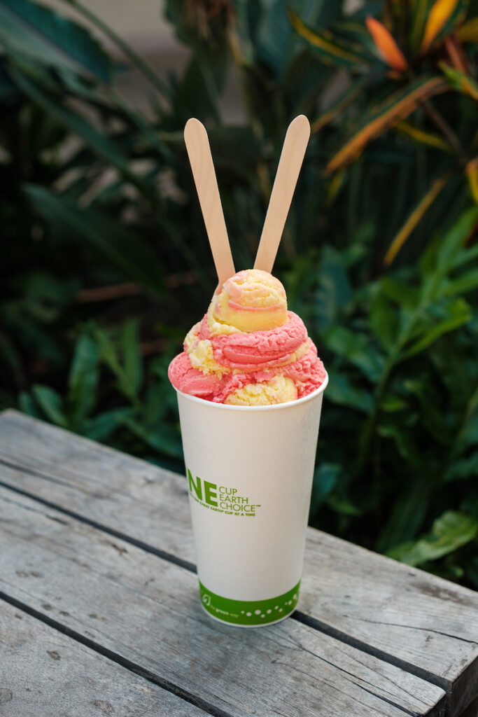 Him2404 Ay Maui Tasaka Guri Guri 3349