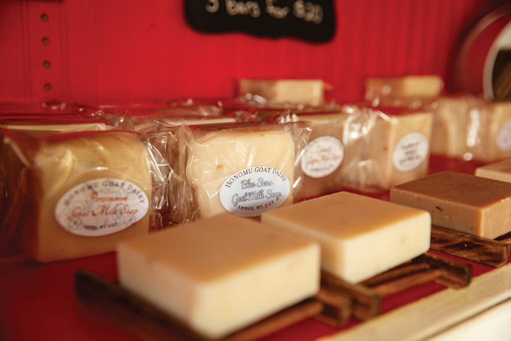 05 Goat Milk Soap Nani Welch