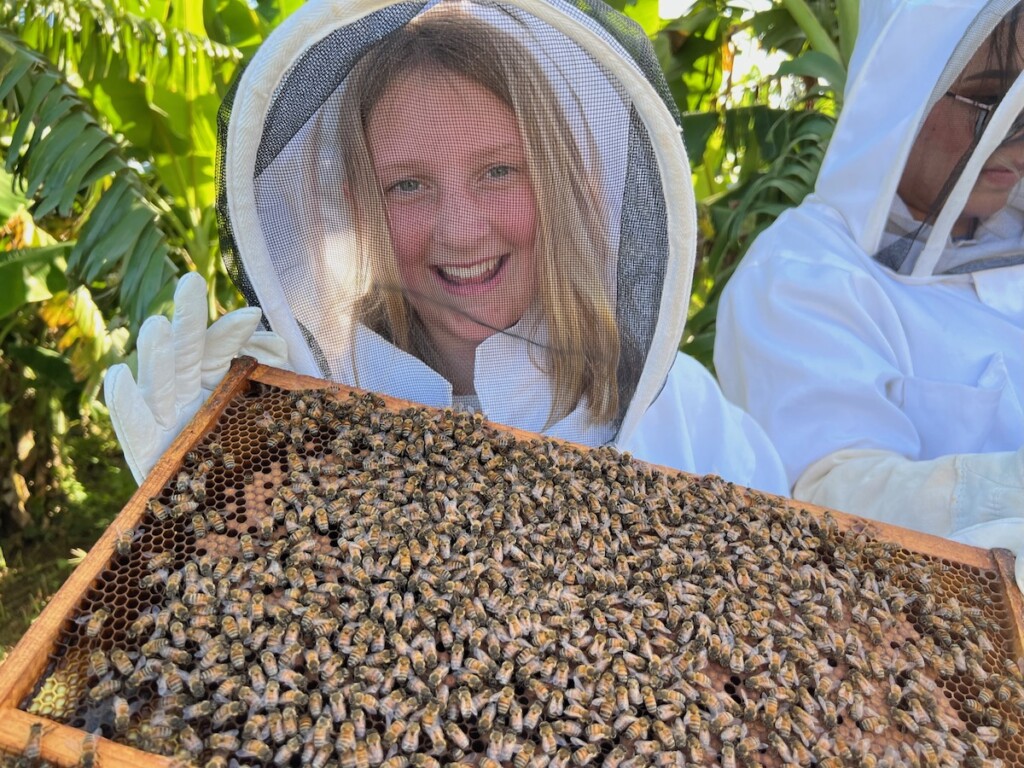 20240805 Hi Honey Bees Img 0524