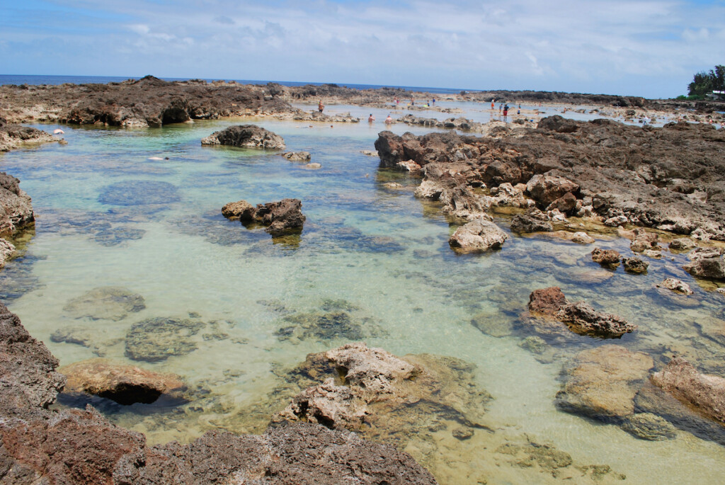 Pupukea Marine Life Park, North Shore Oahu.