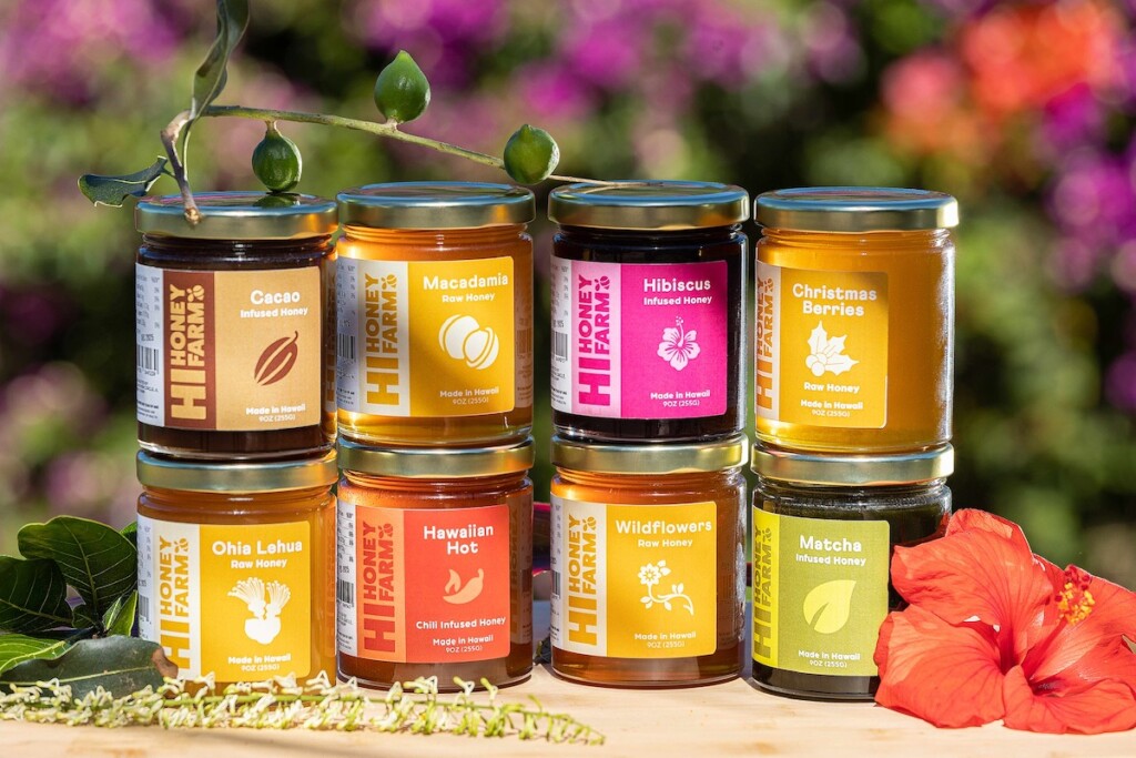 20240805 Hi Honey Bees Kaleidoscop