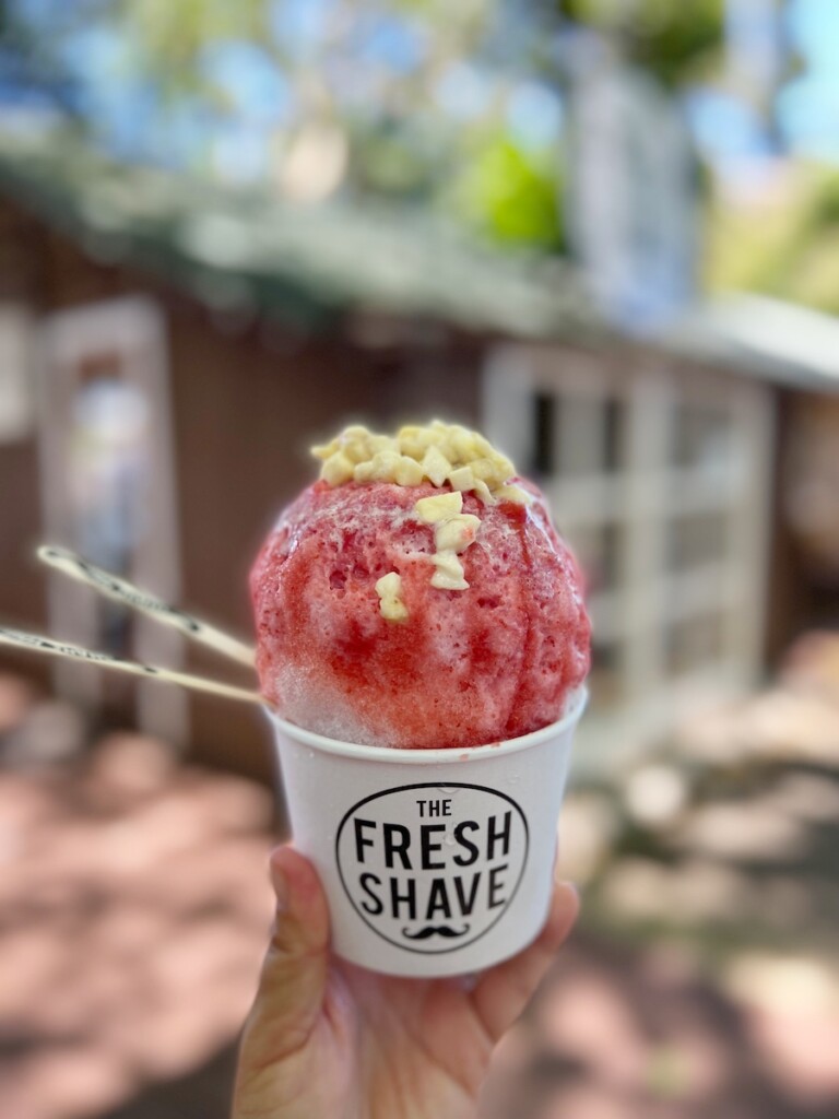 20240909 Koloa Fresh Shave Pictapgo 2022 06 11 183018